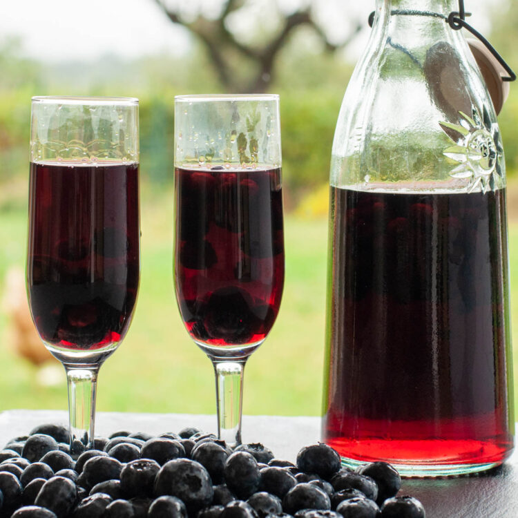 liqueur de myrtilles dans une carafe et dans des verres sur fond de verdure