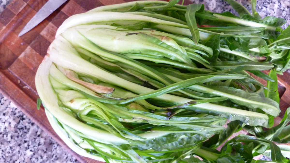 puntarelle di galatina sur une planche en bois