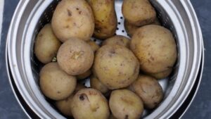 Gâteau de purée de pommes de terre à l’italienne (Gatto’) - Égouttez les pommes de terre