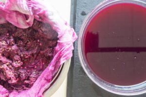 Gelée de raisin Concord - Le lendemain matin, retirez la passoire et les raisins.
