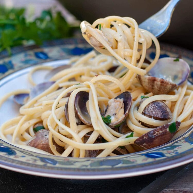 Linguine alle vongole italiennes aux palourdes fraîches - En-tête