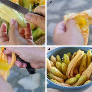 Recette de beignets de courgettes italiens avec fleurs de courgette - Lavez les fleurs en veillant à ce qu'il n'y ait pas d'insectes à l'intérieur. Coupez le sépale, mais laissez le pédicelle des fleurs mâles. Laissez-les égoutter tête en bas.
