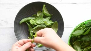 Recette du Pesto Genovese - Retirez les feuilles de basilic des tiges