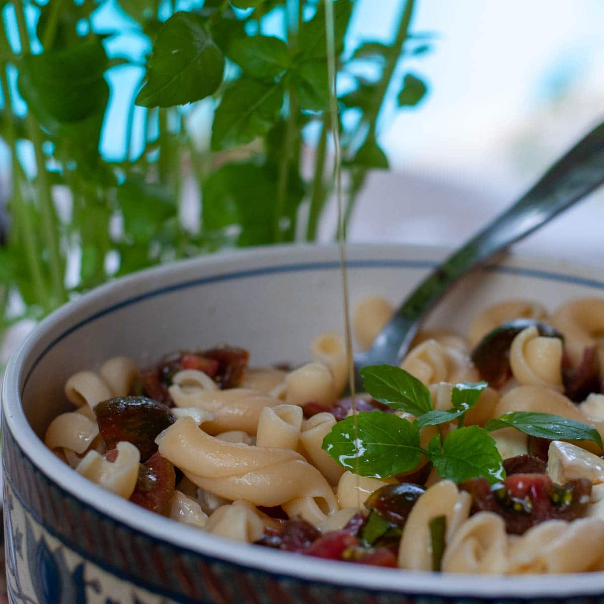 Recette facile de salade de pâtes Caprese fraîche - En-tête