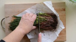 Recette simple d'agretti italien au citron (Salsola soda) - Retirez les racines rosées et les tiges ligneuses de l'agretti cru
