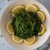 Recette simple d'agretti italien au citron (Salsola soda) - En-tête