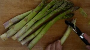 Asperges vertes aux œufs pochés et au parmesan - éplucher délicatement les asperges vertes