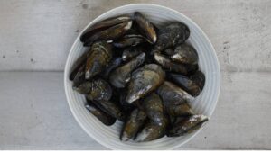 Cozze gratinate (moules gratinées à l'italienne) - Nettoyer soigneusement les moules fraîches