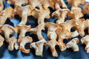 Recette facile de girolles - Égoutter les girolles nettoyées