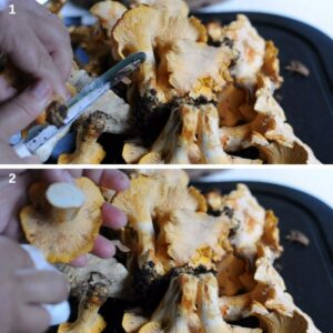 Recette facile de girolles - Nettoyer et parer les girolles