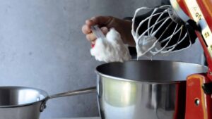 Sorbet de raisin Concord - meringue ferme et brillante