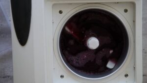 Sorbet de raisin Concord - turbiner le mélange au raisin
