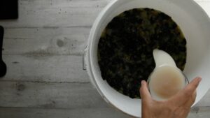 Vin Fragolino de raisins Concord - Ajouter la levure aux raisins