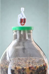 Vin Fragolino de raisins Concord - Début de la fermentation active