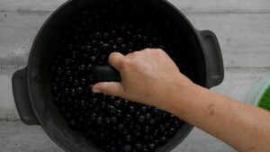Vin Fragolino de raisins Concord - Écraser les raisins au presse purée