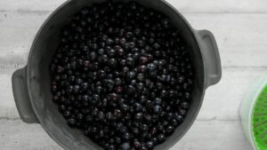 Vin Fragolino de raisins Concord - Égrappez et lavez les raisins
