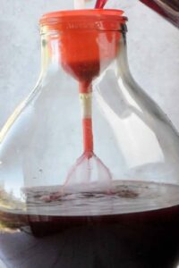 Vin Fragolino de raisins Concord - Transférer le vin sans dépôt